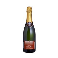 Espumante Santa Colina Branco Brut Prosseco 750 ml